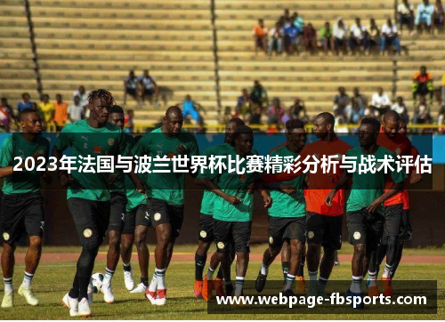 2023年法国与波兰世界杯比赛精彩分析与战术评估
