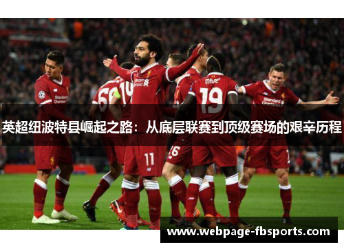 英超纽波特县崛起之路：从底层联赛到顶级赛场的艰辛历程