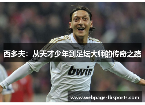 西多夫：从天才少年到足坛大师的传奇之路