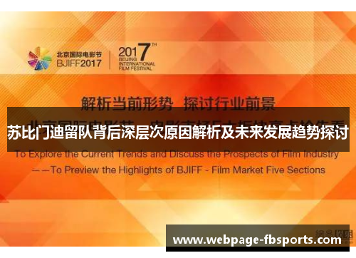 苏比门迪留队背后深层次原因解析及未来发展趋势探讨