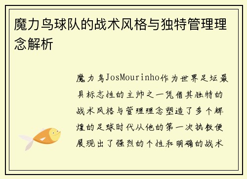 魔力鸟球队的战术风格与独特管理理念解析